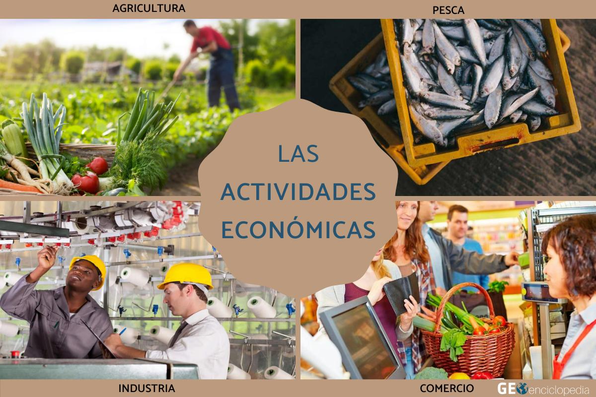 ECONOMIA AGRICOLA