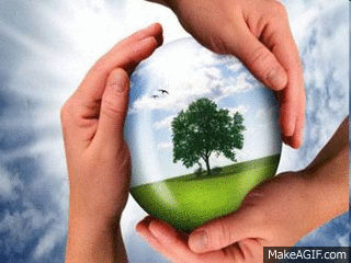 ECOLOGIA
ING. LUIS RAGUAY